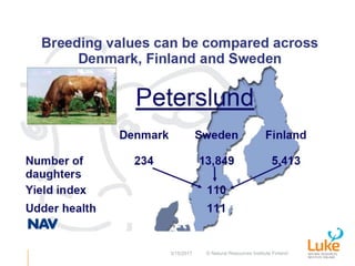 Performance recording and bull evaluation: Contrasting experiences