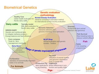 Performance recording and bull evaluation: Contrasting experiences