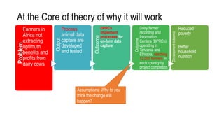Review of the ADGG (African Dairy Genetic Gains) Project Logic