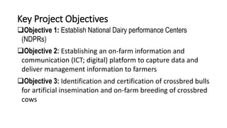 Review of the ADGG (African Dairy Genetic Gains) Project Logic
