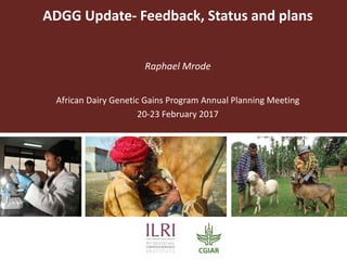ADGG Update- Feedback, Status and plans
Raphael Mrode
African Dairy Genetic Gains Program Annual Planning Meeting
20-23 February 2017
 