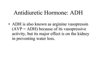 Antidiuretic Hormone: ADH   ADH is also known as arginine vasopressin (AVP = ADH) because of its vasopressive activity, but its major effect is on the kidney in preventing water loss.  