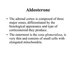 Aldosterone The adrenal cortex is composed of three major zones, differentiated by the histological appearance and type of corticosteroid they produce.  The outermost is the  zona glomerulosa , is very thin and consists of small cells with elongated mitochondria.  