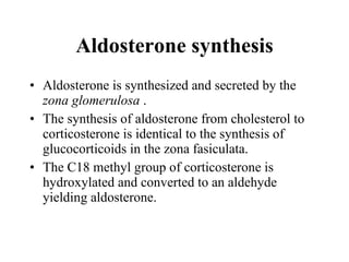 Aldosterone is synthesized and secreted by the  zona glomerulosa  .  The synthesis of aldosterone from cholesterol to corticosterone is identical to the synthesis of glucocorticoids in the zona fasiculata.  The C18 methyl group of corticosterone is hydroxylated and converted to an aldehyde yielding aldosterone.  Aldosterone synthesis 