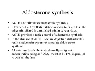 Aldosterone synthesis ACTH also stimulates aldosterone synthesis. However the ACTH stimulation is more transient than the other stimuli and is diminished within several days.  ACTH provides a tonic control of aldosterone synthesis.  In the absence of ACTH, sodium depletion still activates renin-angiotensin system to stimulate aldosterone synthesis.  Aldosterone levels fluctuate diurnally—highest concentration being at 8 AM, lowest at 11 PM, in parallel to cortisol rhythms.  