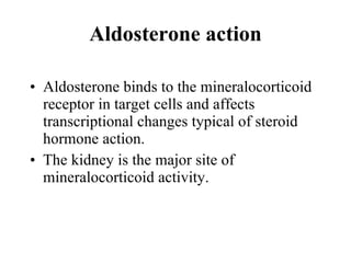 Aldosterone action Aldosterone binds to the mineralocorticoid receptor in target cells and affects transcriptional changes typical of steroid hormone action.  The kidney is the major site of mineralocorticoid activity.  