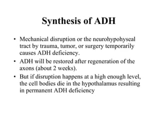 Mechanical disruption or the neurohypohyseal tract by trauma, tumor, or surgery temporarily causes ADH deficiency.  ADH will be restored after regeneration of the axons (about 2 weeks).  But if disruption happens at a high enough level, the cell bodies die in the hypothalamus resulting in permanent ADH deficiency  Synthesis of ADH   