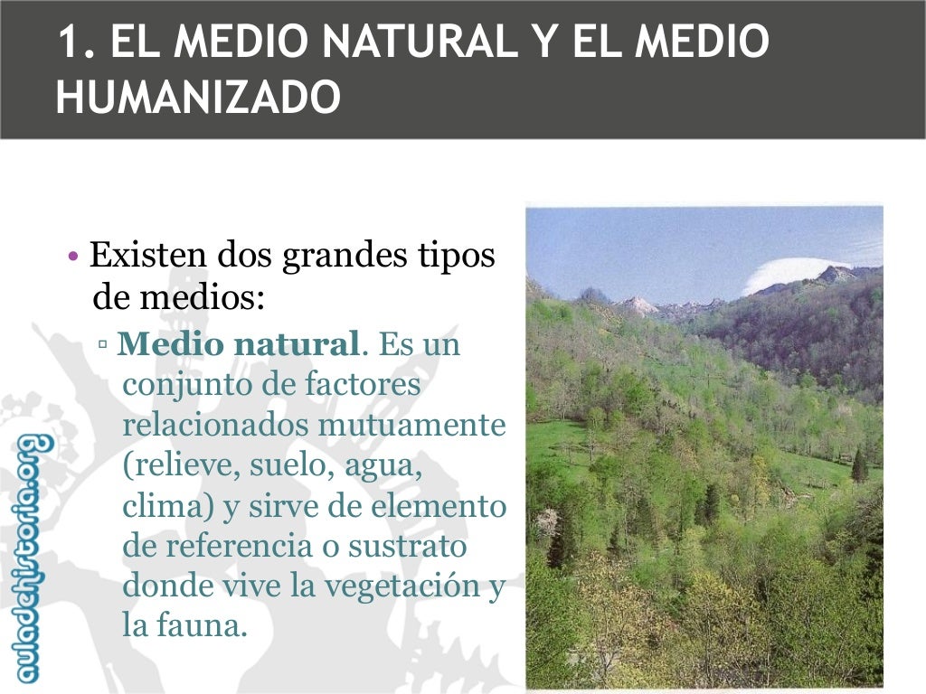 Q No Puede Reproducirse Por Medios Naturales Adh 1 eso los medios naturales y su conservación