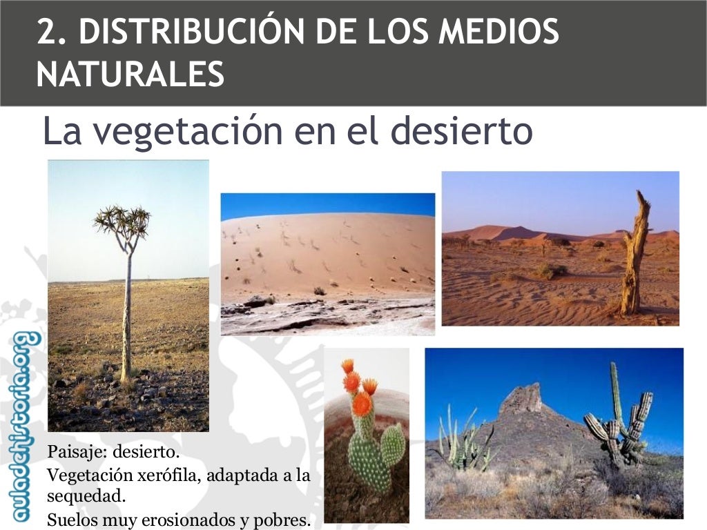 Q No Puede Reproducirse Por Medios Naturales Adh 1 eso los medios naturales y su conservación