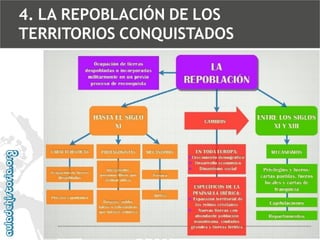 4. LA REPOBLACIÓN DE LOS
TERRITORIOS CONQUISTADOS

 