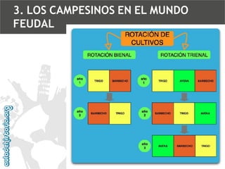 3. LOS CAMPESINOS EN EL MUNDO
FEUDAL

 