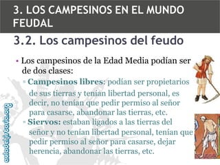 3. LOS CAMPESINOS EN EL MUNDO
FEUDAL

3.2. Los campesinos del feudo
• Los campesinos de la Edad Media podían ser
de dos clases:
▫ Campesinos libres: podían ser propietarios
de sus tierras y tenían libertad personal, es
decir, no tenían que pedir permiso al señor
para casarse, abandonar las tierras, etc.
▫ Siervos: estaban ligados a las tierras del
señor y no tenían libertad personal, tenían que
pedir permiso al señor para casarse, dejar
herencia, abandonar las tierras, etc.

 