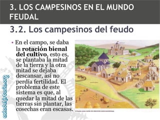 3. LOS CAMPESINOS EN EL MUNDO
FEUDAL

3.2. Los campesinos del feudo
• En el campo, se daba
la rotación bienal
del cultivo, esto es,
se plantaba la mitad
de la tierra y la otra
mitad se dejaba
descansar, así no
perdía fertilidad. El
problema de este
sistema es que, al
quedar la mitad de las
tierras sin plantar, las
cosechas eran escasas.

 