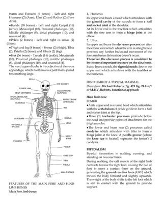 SUPPORT AND LOCOMOTION NOTES FOR UACE.pdf