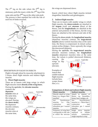 SUPPORT AND LOCOMOTION NOTES FOR UACE.pdf | Geology | Science