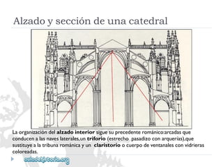 Alzadoyseccióndeunacatedral 
Laorganizacióndelalzadointeriorsiguesuprecedenterománico:arcadasque 
conducenalasnaveslaterales,untriforio(estrechopasadizoconarquerías),que 
sustituyealatribunarománicayunclaristorioocuerpodeventanalesconvidrieras 
coloreadas.  