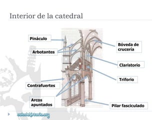 Bóvedade 
crucería 
Arbotantes 
Interiordelacatedral 
Pináculo 
Claristorio 
Triforio 
Contrafuertes 
Arcos 
apuntados 
Pilarfasciculado  