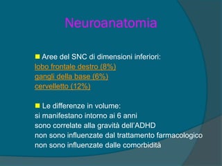 Neuroanatomia
 Aree del SNC di dimensioni inferiori:
lobo frontale destro (8%)
gangli della base (6%)
cervelletto (12%)
 Le differenze in volume:
si manifestano intorno ai 6 anni
sono correlate alla gravità dell’ADHD
non sono influenzate dal trattamento farmacologico
non sono influenzate dalle comorbidità
 