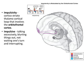• Impulsivity -
cortico striato
thalamo cortical
loop that involves
the orbitofrontal
cortex.
• Impulsive - talking
excessively, blurting
things out, not
waiting one’s turn
and interrupting.
 