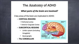 Adhd in-adults | PPTX