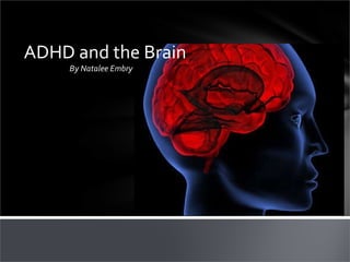[object Object],ADHD and the Brain 