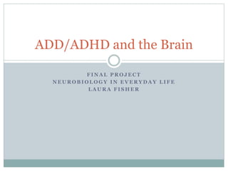 Adhd and the brain | PPTX