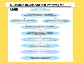 A Possible Developmental Pathway for
ADHD
 