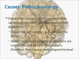  Dopamine: research study suggests that
various genes affect the neurotransmitter
dopamine:
 Dopamine activation is a reward for the
brain
 ADHD individuals dopamine receptors are
not as efficient as a normal person’s
therefore they have a lower dopamine level
 