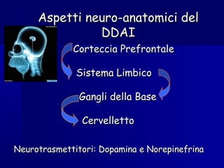 Corteccia PrefrontaleCorteccia Prefrontale
Sistema LimbicoSistema Limbico
Gangli della BaseGangli della Base
CervellettoCervelletto
Aspetti neuro-anatomici delAspetti neuro-anatomici del
DDAIDDAI
Neurotrasmettitori: Dopamina e NorepinefrinaNeurotrasmettitori: Dopamina e Norepinefrina
 