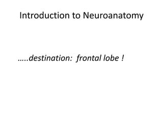 Introduction to Neuroanatomy



…..destination: frontal lobe !
 