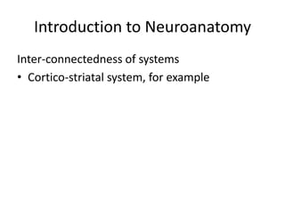 Introduction to Neuroanatomy
Inter-connectedness of systems
• Cortico-striatal system, for example
 