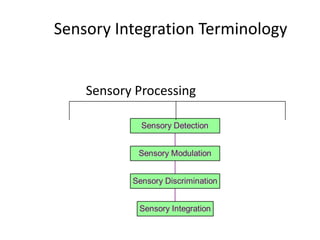 Sensory Integration Terminology


    Sensory Processing

             Sensory Detection


            Sensory Modulation


           Sensory Discrimination


            Sensory Integration
 