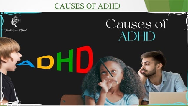 11
CAUSES OF ADHD
Antihistamine eye drops (e.g., ketotifen): Block
histamine receptors, reducing allergic responses and
itching.
Lubricating eye drops (e.g., artificial tears): Moisturize
and protect the ocular surface, relieving dryness and
irritation.
 