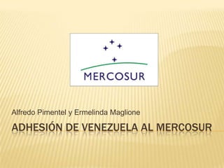 Adhesión de Venezuela al Mercosur Alfredo Pimentel y ErmelindaMaglione 