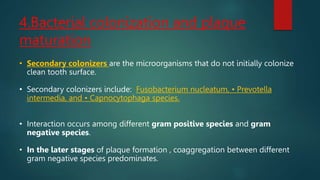 adhesins and receptors[1]periodontal .pptx