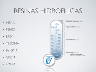 RESINAS HIDROFÍLICAS
• HEMA
• PENTA
• BPDM
• TEGDMA
• Bis-GMA
• GPDM
• 4META
 