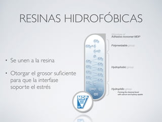 RESINAS HIDROFÓBICAS
• Se unen a la resina
• Otorgar el grosor suﬁciente
para que la interfase
soporte el estrés
 