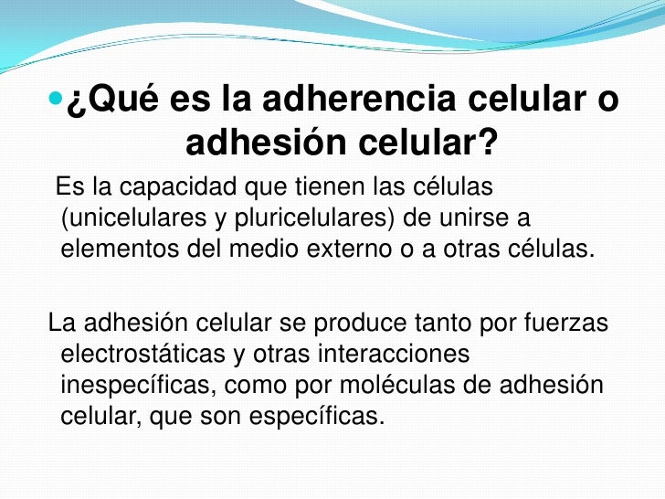 Adhesion celular raul alvarado