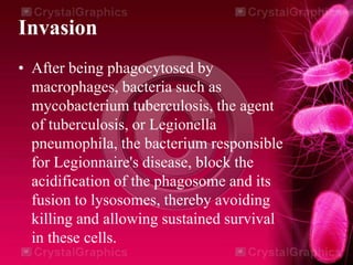 Microbial Invasions Adhesion, invasion and colonization | PPTX