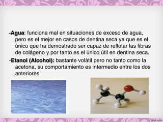 -Agua: funciona mal en situaciones de exceso de agua,
pero es el mejor en casos de dentina seca ya que es el
único que ha demostrado ser capaz de reflotar las fibras
de colágeno y por tanto es el único útil en dentina seca.
-Etanol (Alcohol): bastante volátil pero no tanto como la
acetona, su comportamiento es intermedio entre los dos
anteriores.
 
