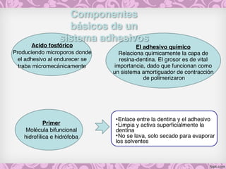 Componentes
básicos de un
sistema adhesivos
Acido fosfórico
Produciendo microporos donde
el adhesivo al endurecer se
traba micromecánicamente
Primer
Molécula bifuncional
hidrofílica e hidrófoba
•Enlace entre la dentina y el adhesivo
•Limpia y activa superficialmente la
dentina
•No se lava, solo secado para evaporar
los solventes
El adhesivo químico
Relaciona químicamente la capa de
resina-dentina. El grosor es de vital
importancia, dado que funcionan como
un sistema amortiguador de contracción
de polimerizaron
 