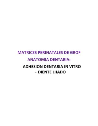MATRICES PERINATALES DE GROF
    ANATOMIA DENTARIA:
 - ADHESION DENTARIA IN VITRO
        - DIENTE LIJADO
 
