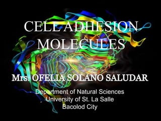 CELL ADHESION
MOLECULES
Department of Natural Sciences
University of St. La Salle
Bacolod City
 