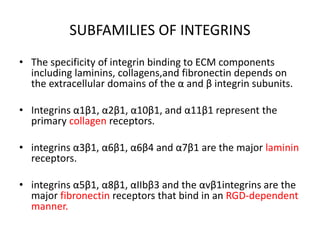 SUBFAMILIES OF INTEGRINS
• The specificity of integrin binding to ECM components
including laminins, collagens,and fibronectin depends on
the extracellular domains of the α and β integrin subunits.
• Integrins α1β1, α2β1, α10β1, and α11β1 represent the
primary collagen receptors.
• integrins α3β1, α6β1, α6β4 and α7β1 are the major laminin
receptors.
• integrins α5β1, α8β1, αIIbβ3 and the αvβ1integrins are the
major fibronectin receptors that bind in an RGD-dependent
manner.
 