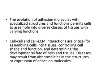 • The evolution of adhesion molecules with
specialized structures and functions permits cells
to assemble into diverse classes of tissues with
varying functions.
• Cell-cell and cell-ECM interactions are critical for
assembling cells into tissues, controlling cell
shape and function, and determining the
developmental fate of cells and tissues. Diseases
may result from abnormalities in the structures
or expression of adhesion molecules.
 