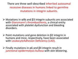 There are three well-described inherited autosomal
recessive diseases in humans linked to germline
mutations in integrin subunits.
 Mutations in αIIb and β3 integrin subunits are associated
with Glanzmann’s thrombasthenia, a clinical entity
associated with platelet dysfunction and bleeding
disorders.
 Point mutations and gene deletion in β2 integrin in
humans and mice, respectively, have been associated
with LeukocyteAdhesion Deficiency (LAD).
 Finally mutations in α6 and β4 integrin result in
junctional epidermolysis bullosa with skin blistering.
 