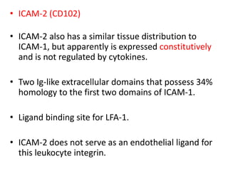 • ICAM-2 (CD102)
• ICAM-2 also has a similar tissue distribution to
ICAM-1, but apparently is expressed constitutively
and is not regulated by cytokines.
• Two Ig-like extracellular domains that possess 34%
homology to the first two domains of ICAM-1.
• Ligand binding site for LFA-1.
• ICAM-2 does not serve as an endothelial ligand for
this leukocyte integrin.
 