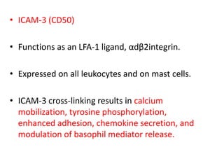 • ICAM-3 (CD50)
• Functions as an LFA-1 ligand, αdβ2integrin.
• Expressed on all leukocytes and on mast cells.
• ICAM-3 cross-linking results in calcium
mobilization, tyrosine phosphorylation,
enhanced adhesion, chemokine secretion, and
modulation of basophil mediator release.
 