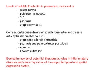 Levels of soluble E-selectin in plasma are increased in
- scleroderma
- polyarteritis nodosa
- SLE
- psoriasis
- atopic dermatitis
Correlation between levels of soluble E-selectin and disease
activity has been observed in
- atopic and allergic dermatitis
- psoriasis and palmoplantar pustulosis
- eczema
- Kawasaki disease
E-selectin may be of potential therapeutic value in inflammatory
diseases and cancer by virtue of its unique temporal and spatial
expression profile.
 