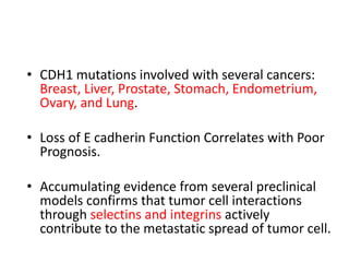 • CDH1 mutations involved with several cancers:
Breast, Liver, Prostate, Stomach, Endometrium,
Ovary, and Lung.
• Loss of E cadherin Function Correlates with Poor
Prognosis.
• Accumulating evidence from several preclinical
models confirms that tumor cell interactions
through selectins and integrins actively
contribute to the metastatic spread of tumor cell.
 
